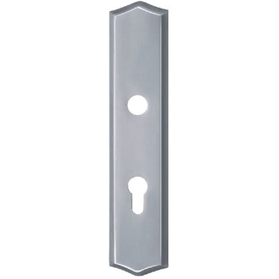 Stainless Steel Handle Plate